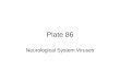 Plate 86 Neurological System Viruses. Polio virus