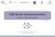 Janusz.Harasimowicz@quasar-group.org  USR Beam Instrumentation Janusz Harasimowicz Joint QUASAR and THz Group Workshop on Accelerator
