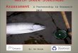 North Shore Steelhead Assessment A Partnership in Research 2015 By: Jon George