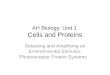 AH Biology: Unit 1 Cells and Proteins Detecting and Amplifying an Environmental Stimulus: Photoreceptor Protein Systems