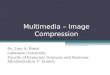 Multimedia – Image Compression Dr. Lina A. Nimri Lebanese University Faculty of Economic Sciences and Business Administration 1 st branch
