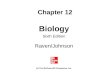 Chapter 12 Biology Sixth Edition Raven/Johnson (c) The McGraw-Hill Companies, Inc