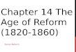 CHAPTER 14 THE AGE OF REFORM (1820-1860) SOCIAL REFORM