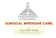 SURGICAL INTENSIVE CARE By Prof. GAMAL ELEWA Dept. of Anesthesia, Intensive Care and Pain Management Faculty of Medicine, Ain Shams University Anesthesia