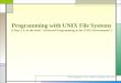Programming with UNIX File Systems (Chap 3, 4. in the book “Advanced Programming in the UNIX Environment”) Acknowledgement : Prof. Y. Moon at Kangwon Nat’l
