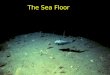 The Sea Floor.  Core – mostly iron  Inner core – solid  Outer core – liquid (temp. ~ 7,200° F)  Mantle – mostly solid, but it is so hot the rock is