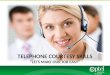 TELEPHONE COURTESY SKILLS “LETS MAKE OUR JOB EASY”