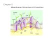 Chapter 5 Membrane Structure & Function. Membrane structure, I Selective permeability Amphipathic polar & non-polar regions (ex. hydrophilic & hydrophobic)
