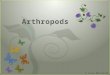 7 Arthropods. Features of Arthropods Arthropod Diversity