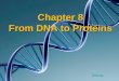 Chapter 8 From DNA to Proteins DNA rap DNA rap. Look at the image of the mice below. Notice anything that seems odd? DNA DNA These mice have had a jellyfish