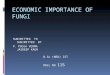 ECONOMIC IMPORTANCE OF FUNGI SUBIMITTED TO SUBIMITTED BY P. POOJA VERMA JASDEEP KAUR B.Sc (MED) IST ROLL NO 115