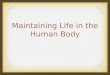 Maintaining Life in the Human Body. Maintaining Life To maintain life the human body must : Maintain boundaries Maintain movement Respond to stimuli Digest