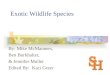 Exotic Wildlife Species By: Mike McManners, Ben Burkhalter, & Jennifer Muller Edited By: Kaci Greer