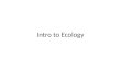 Intro to Ecology. Ecology scientific study of the interactions between organisms and the environment interactions determine distribution of organisms