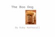 The Boo Dog By Ruby Hatherall. Boo is a Pomeranian with a teddy bear style hair cut, which some owners find easier than looking after their long, thick