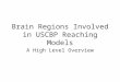 Brain Regions Involved in USCBP Reaching Models A High Level Overview