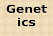 Genetics. What is Genetics? Genetics is the study of genes and heredity (passing of traits from generation to generation). Genes carry the information