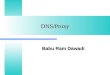 DNS/Proxy Babu Ram Dawadi. Introduction - DNS Domain Name Server Domain Name Server –programs that store information about the domain name space –largest