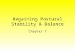 Regaining Postural Stability & Balance Chapter 7