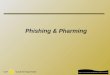 Phishing & Pharming. 2 Oct. 2004 to July 2005 APWG