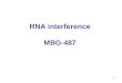 1 RNA interference MBG-487. 2 'RNA interference' scoops Nobel prize for Medicine in 2006 Two US scientists won the Nobel prize for Medicine on Monday