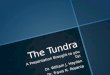 The Tundra A Presentation Brought to you by: Dr. William J. Haydon Dr. Travis N. Rosania