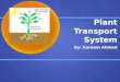 Plant Transport System By: Kareem Ahmed. Plant Transport System The plant transport system uses many different thin tubes inside it that carry liquids