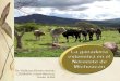 La ganadería extensiva, es el sistema de crianza de ganado más desarrollada en México y se considera la forma tradicional de dejar pastar libremente a