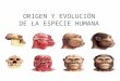 ORIGEN Y EVOLUCIÓN DE LA ESPECIE HUMANA. Evolución de las especies, se cuenta con una rama de la biología llamada TAXONOMIA. Se clasifican principalmente