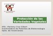Protección de las Variedades Vegetales MSc. Marleny Cruz Gibert Examinadora de Patentes de Biotecnología Dpto. de Invenciones