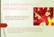 Anticuerpo es una glicoproteína producida por el sistema inmunitario del cuerpo cuando detecta sustancias dañinas, llamadas antígenos. Anticuerpo es una