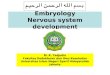 Embryology-Nervous System Development