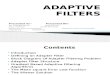 adaptive filters-3 - PPT.pptx