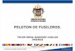 Pelotón Fusileros TECIM MESA.pptx