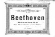 Beethoven - Serenade in D Major Piano