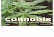 Guia Completa Para El Cultivo de Marihuana (Jeff Ditchfield)