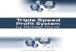 Triple Speed Profit System