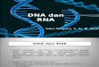2. DNA dan RNA.ppt