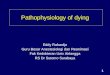 Pathology of Dying Jan 2015