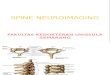(New) 2. Spine Neuroimaging Dr. Bekti