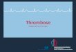 Thrombose Diagnostik und Therapie. tiefe Venen Thrombose Inzidenz von 3 : 1000 Dritth¤ufigste akute kardiovaskul¤re Erkrankung Lungenembolie Hintergrund