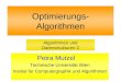 Optimierungs- Algorithmen Petra Mutzel Technische Universität Wien Institut für Computergraphik und Algorithmen Algorithmen und Datenstrukturen 2