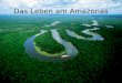 Das Leben am Amazonas. Geografische Lage schlängelt sich durch Südamerika 1.oder 2.längster Fluss der Erde mündet in den Atlantik 10.000 Flüsse kommen
