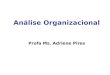 Análise Organizacional Profa Ms. Adriene Pires. Análise Organizacional  INDIVÍDUO: abordagem microorganizacional  GRUPO: abordagem mesoorganizacional