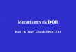 Mecanismos da DOR Prof. Dr. José Geraldo SPECIALI