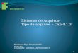 Professor Esp. Diego André Sant’Ana Disciplina: Sistemas Operacionais II Sistemas de Arquivos- Tipo de arquivos – Cap 4.1.3 1