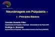 Neuroimagem em Psiquiatria – I - Princípios Básicos Geraldo Busatto Filho Departamentos de Psiquiatria e Radiologia - Universidade de Sao Paulo (USP) Rodrigo