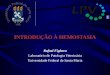 INTRODUÇÃO À HEMOSTASIA Rafael Fighera Laboratório de Patologia Veterinária Universidade Federal de Santa Maria