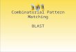 Combinatorial Pattern Matching BLAST. T³picos Introdu§£o Repeti§µes Gnicas Combinatorial Pattern Matching â€“ Exact Pattern Matching â€“ Approximate Pattern