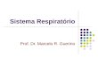 Sistema Respiratório Prof. Dr. Marcelo R. Guerino